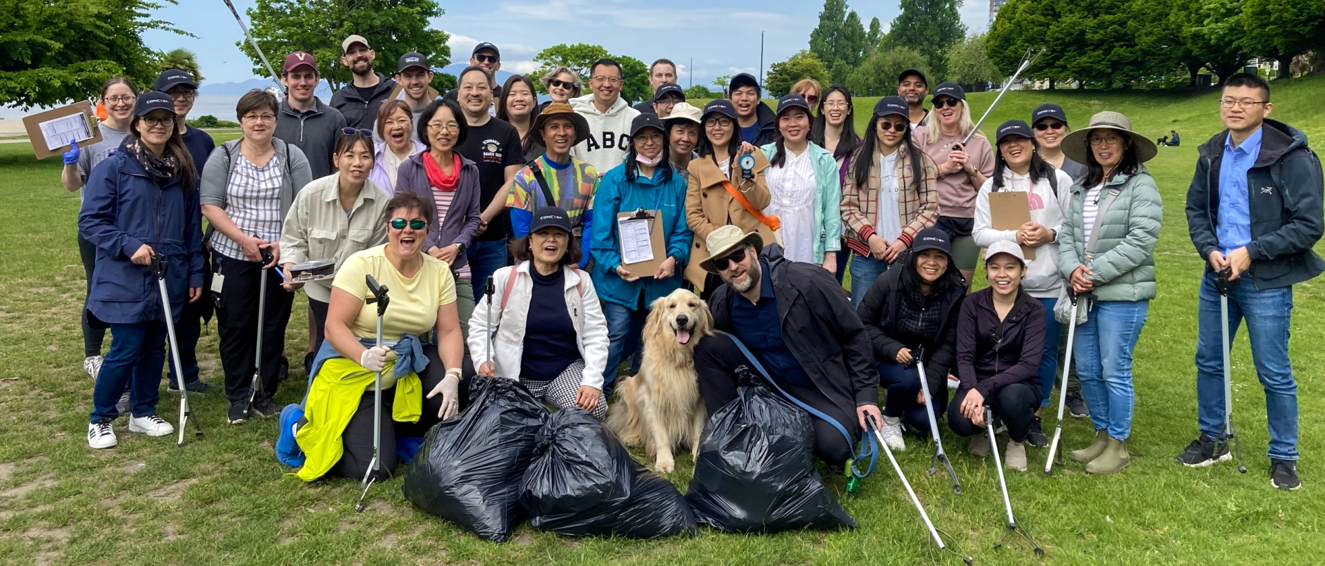 Shoreline Cleanup