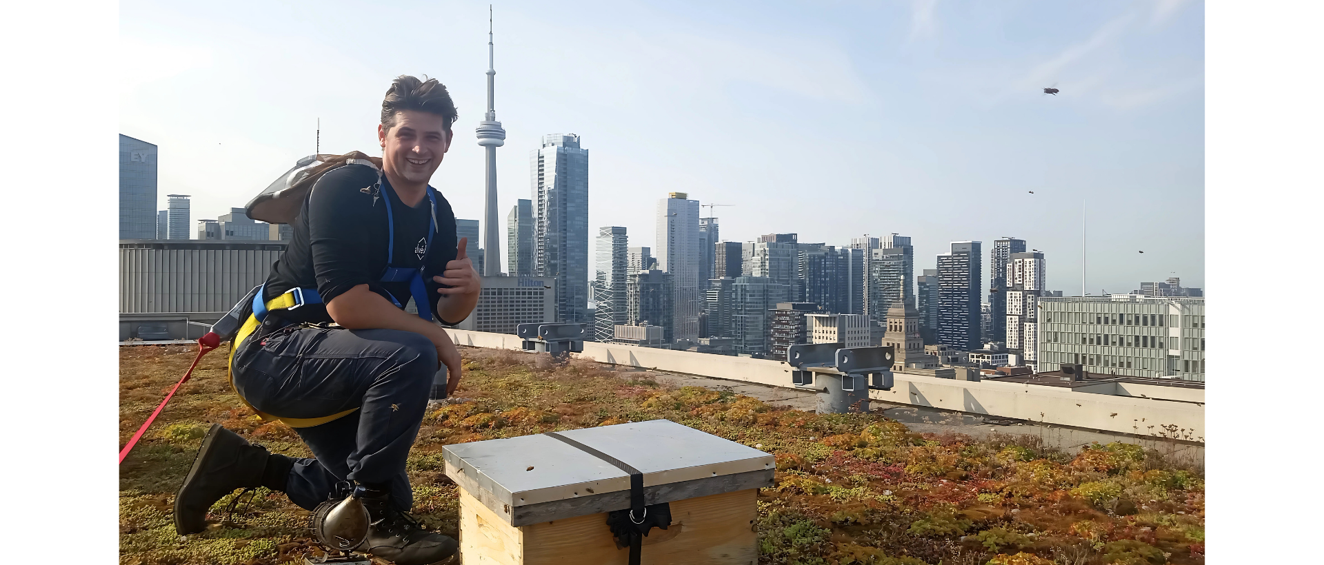 World Bee Day - Banner V1